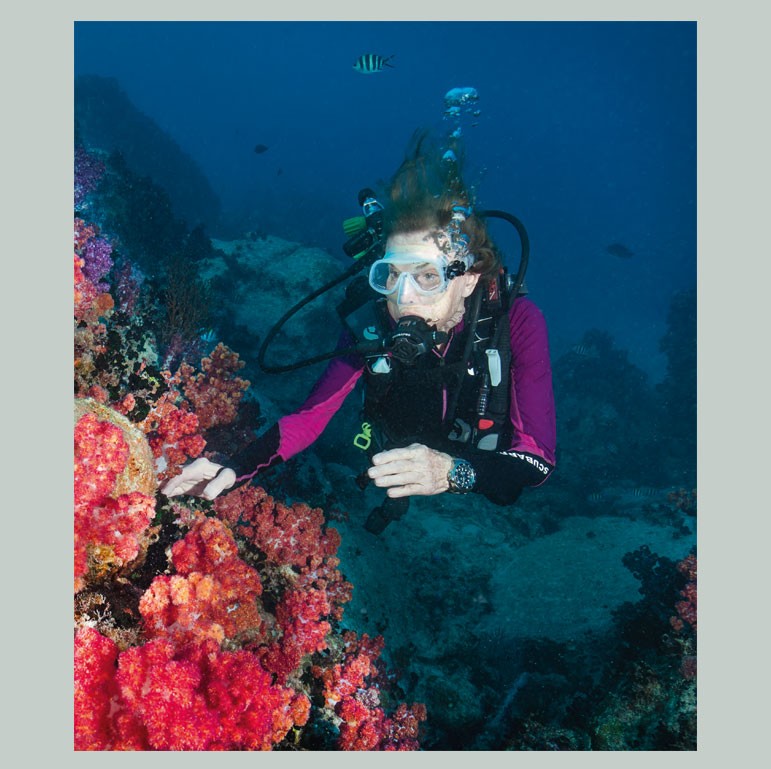 Oyster Perpetual Submariner - version anglaise