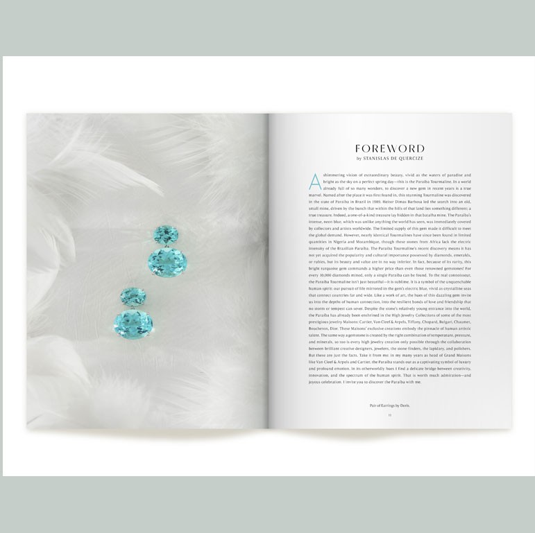 Paraíba – The Legacy of a Color